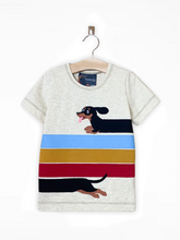 Load image into Gallery viewer, Doxie Dash Stripes (Ready to Ship)